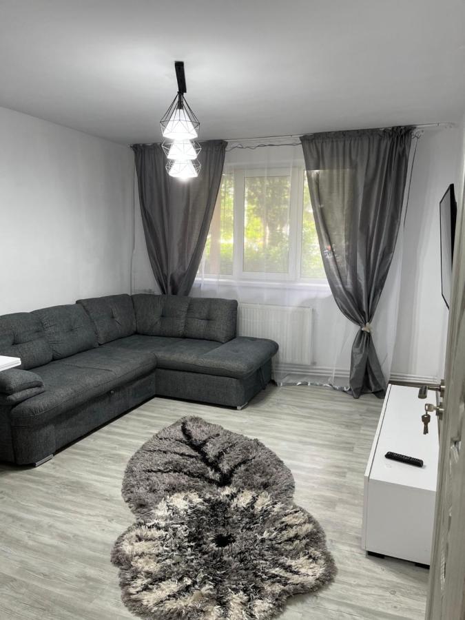 Home Sweet Home Apartment With 3 Rooms 布泽乌 外观 照片